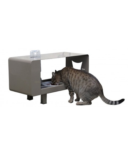 Ristogatto