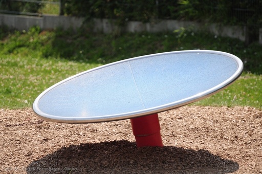 Dish